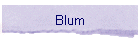 Blum