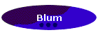 Blum